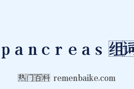 pancreas组词是什么意思的图片